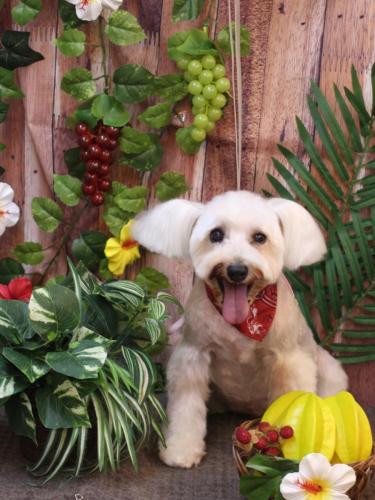 20230822天馬利ちゃん